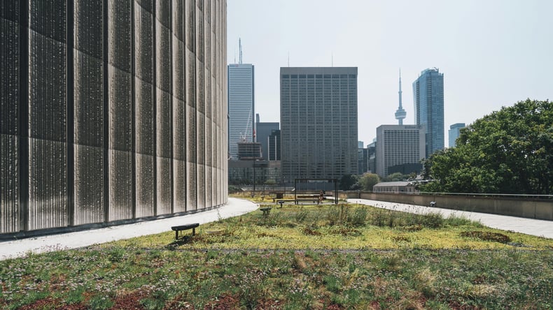 pexels-scottwebb-gunnebo-sustainability